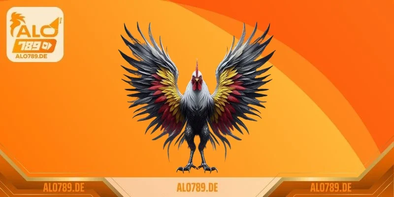 Đá gà Philippines siêu hạng 