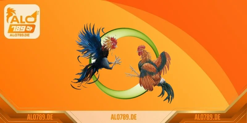 Lịch sử hình thành và phát triển đá gà Campuchia