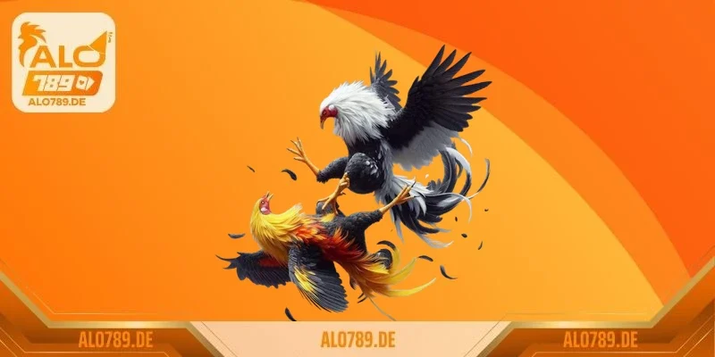 Mổ xẻ toàn diện đá gà S128