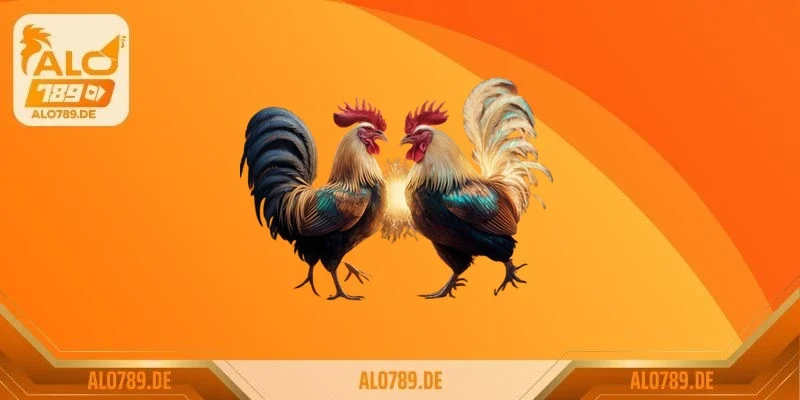 Chế độ dinh dưỡng