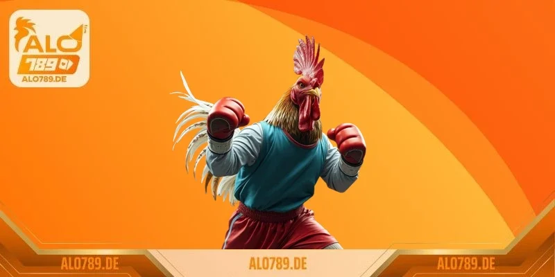 Cách Chọn Gà Đá