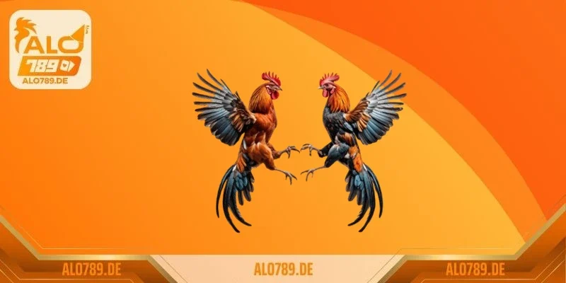 Cần lưu ý những gì trong cách thả