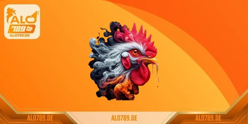 Các lưu ý khi sư kê chuẩn bị lên cựa