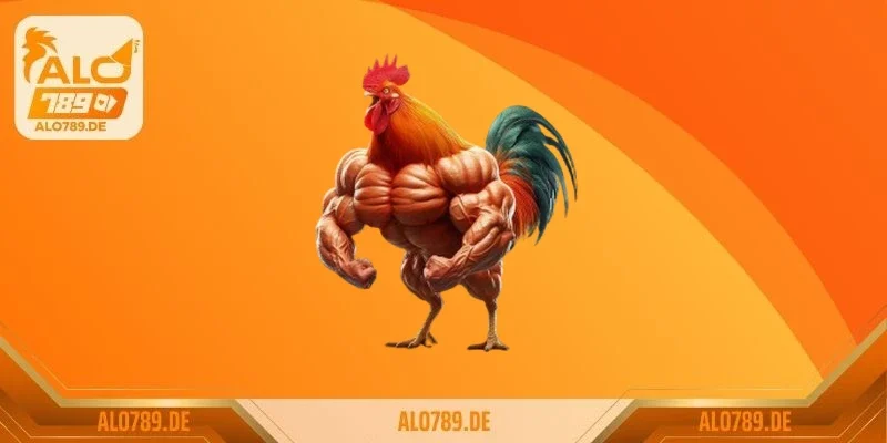 Lịch sử và sự phát triển của đá gà cựa dao