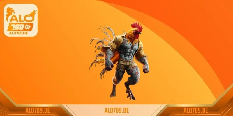 Cách chăm sóc gà bị cựa chuẩn xác nhất